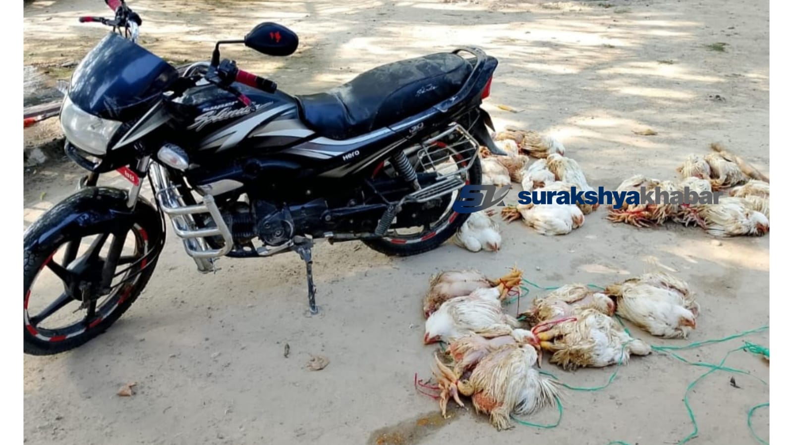 बाँकेको साईगाउँबाट मोटरसाइकलसहित १ क्विन्टल बोइलर कुखुरा सशस्त्र प्रहरीको नियन्त्रणमा
