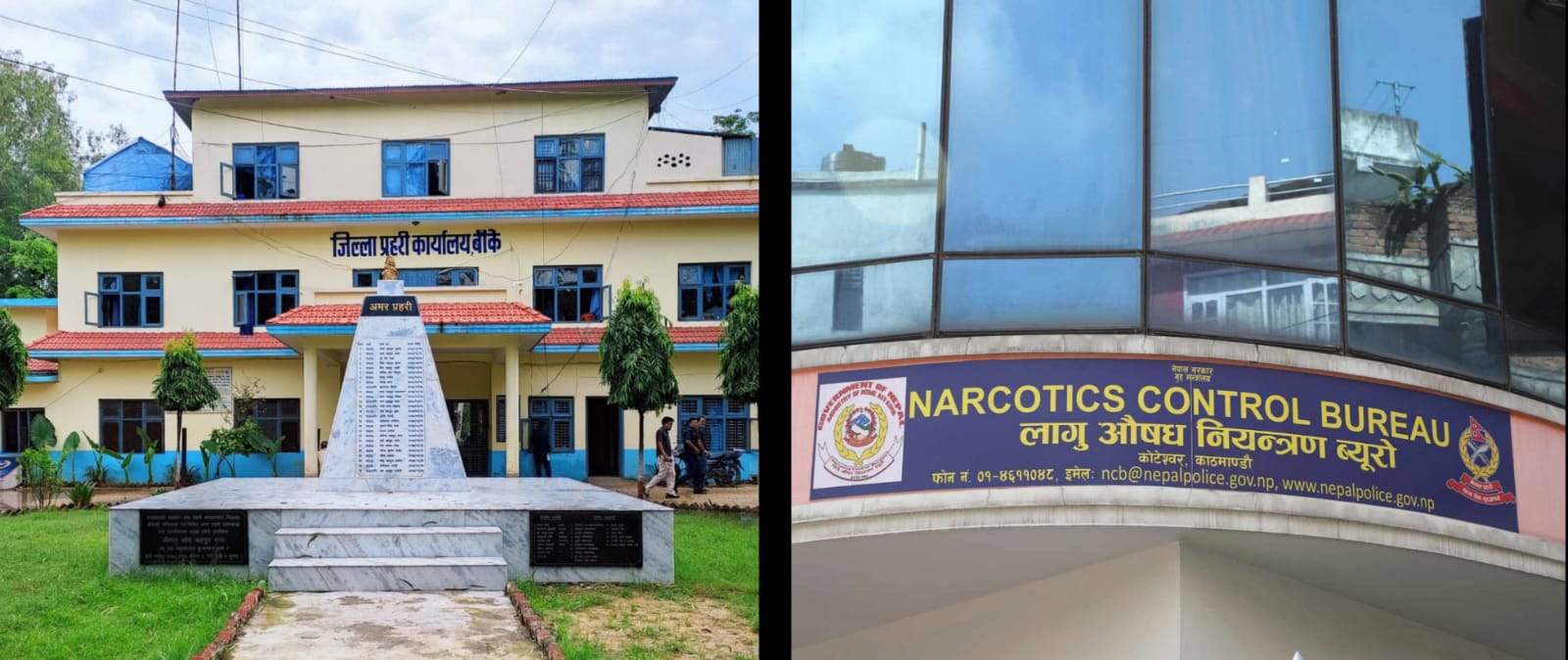 लागुऔषधको हब नेपालगन्जबाट धमाधम पक्राउ पर्दै डिलर, ४ दिनमा ३२७ ग्राम लागुऔषध बरामद