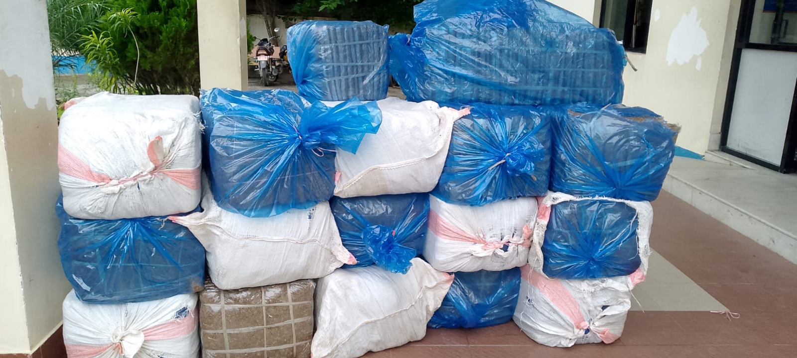 सीमापार लैजान लागिएको झण्डै १ क्विन्टल गाँजा सशस्त्र प्रहरीको नियन्त्रणमा