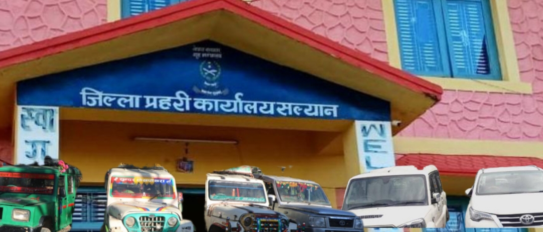 सल्यानमा चोरीका जीप धामाधम नियन्त्रणमा आउँदै, ६ वटा जीप भन्सारमा