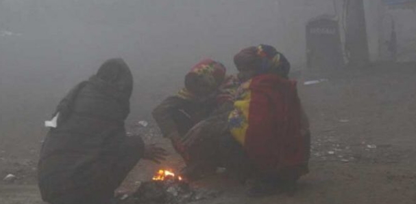 डेढ दशकदेखि वनक्षेत्रमै बास, शीतलहरले झनै कष्टमा बाढीपीडित