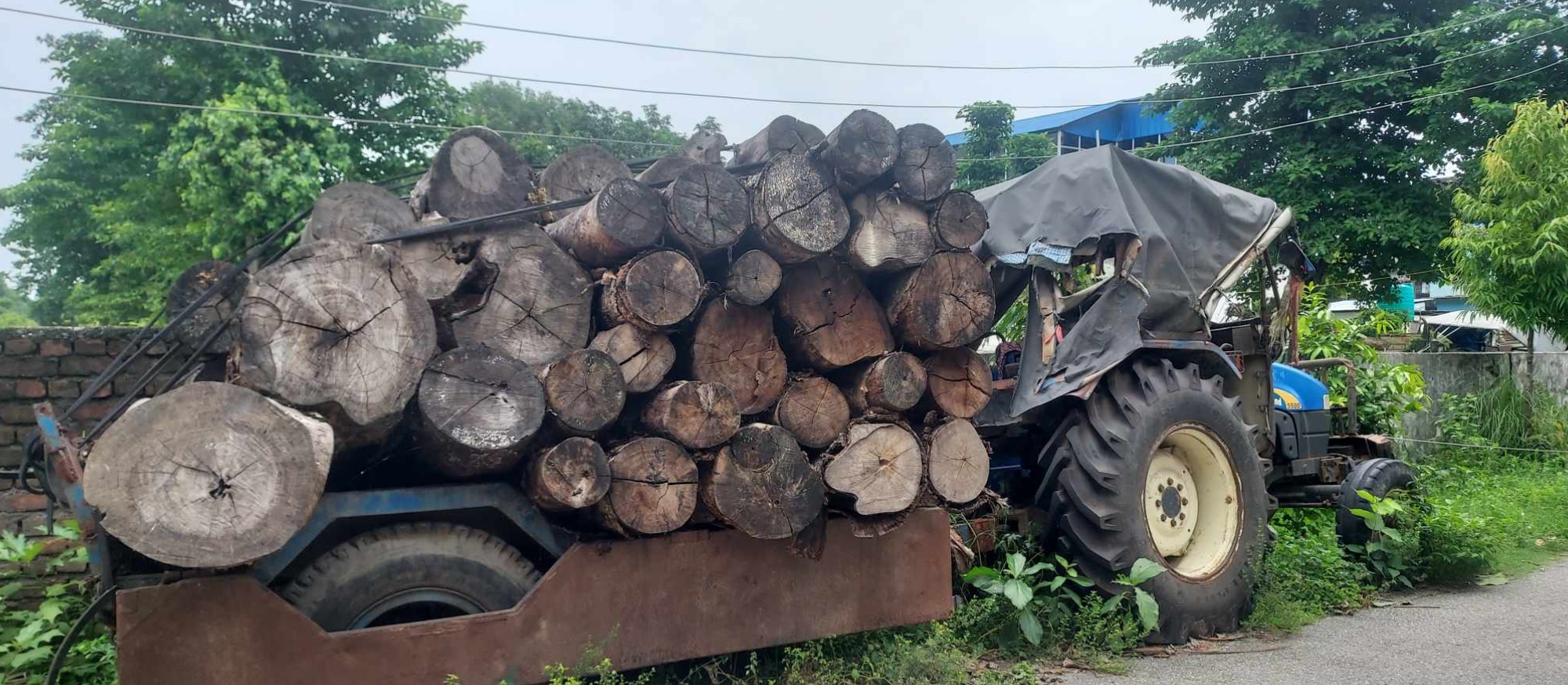 अवैध रुपले काठ ओसारपसार गर्ने २६ सवारीसाधन नियन्त्रणमा