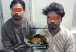 बर्दियाबाट २८० ग्राम खैरो हेरोइनसहित दुई भारतीय लागुऔषध ब्यूरोको नियन्त्रणमा
