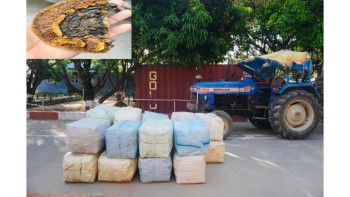 बाँकेमा ३० लाखको अवैध सागा च्याउसहित ट्याक्टर सशस्त्र प्रहरीको नियन्त्रणमा