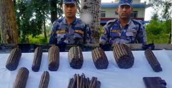 डोकेबजारबाट साढे ३ किलोभन्दा बढी चरेस सशस्त्र प्रहरीको नियन्त्रणमा