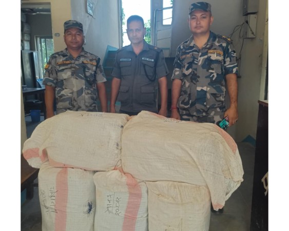 सशस्त्र प्रहरीको कमाण्डको टोलीद्वारा झण्डै १ क्विन्टल गाँजा बरामद
