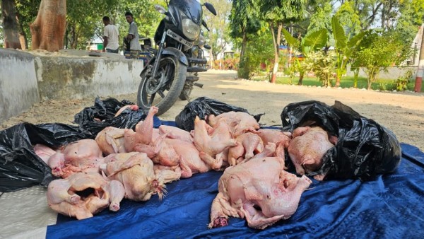भारतबाट ल्याइएको अवैध बोइलर कुखुरा र मोटरसाइकलसहित एक जना बाँके प्रहरीको नियन्त्रणमा
