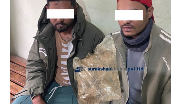 भारतबाट ४८ ग्राम हेरोइन लिएर आएका दाङका दुई युवक नेपालगन्जको जमुनाहबाट पक्राउ