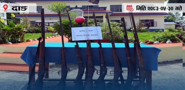 विभिन्न स्थानबाट ८ नाल अवैध भरुवा बन्दुक दाङ प्रहरीको नियन्त्रणमा
