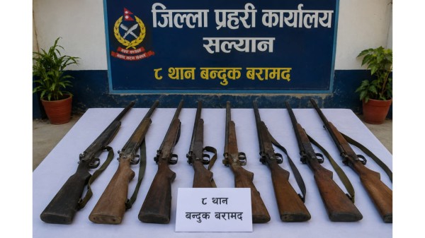 सल्यानमा बन्दुक बरामदको शृङ्खला, एक सातामै ८ थान बन्दुक फेला