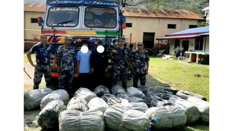 ७ सय ८३ किलो गाँजा र ट्रकसहित चालक र सहचालक नियन्त्रणमा