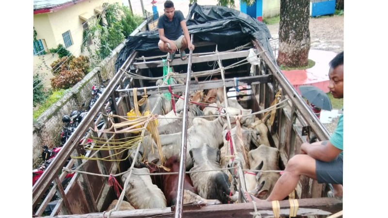 अवैध रुपले लैजान लागिएको गोरुसहितको ट्रक प्रहरीको नियन्त्रणमा
