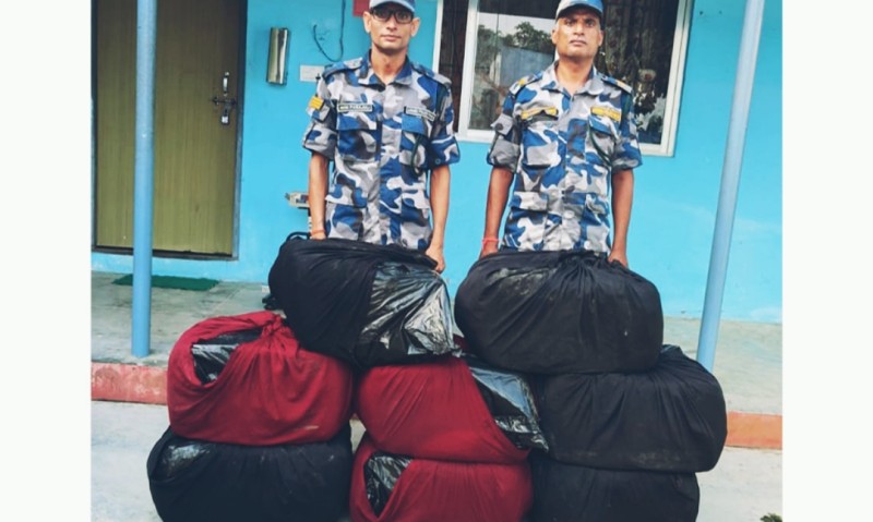 भारत लैजान लागिएको साढे १ क्विन्टल बढी गाँजा सशस्त्र प्रहरीको नियन्त्रणमा