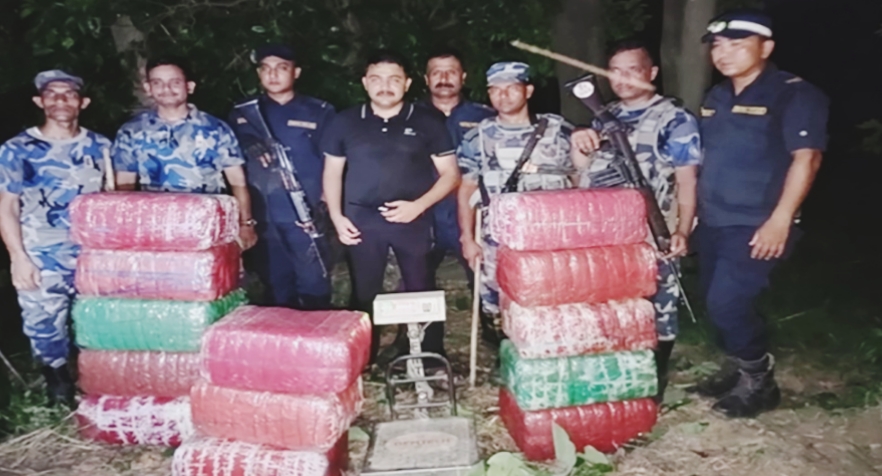 आँप बगैंचामा लुकाएर राखिएको १ क्विन्टल ४० किलो गाँजा, अनि भयो बरामद